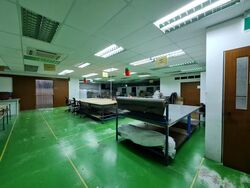 Loyang Industrial Estate (D17), Factory #455393701